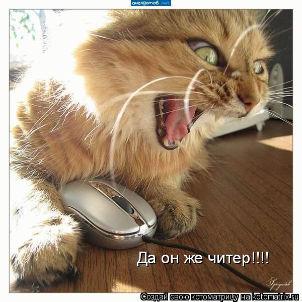 Да он же читер!!!!... Котоматрица: Да он же читер!!!!