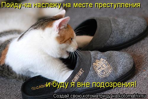 Пойду-ка наслежу на месте преступления Пойду-ка наслежу на месте преступления и буду я вне подозрения... Котоматрица: Пойду-ка наслежу на месте преступления Пойду-ка наслежу на месте преступления и буду я вне подозрения!