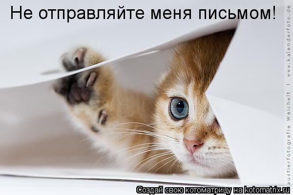 Не отправляйте меня письмом!... Котоматрица: Не отправляйте меня письмом!