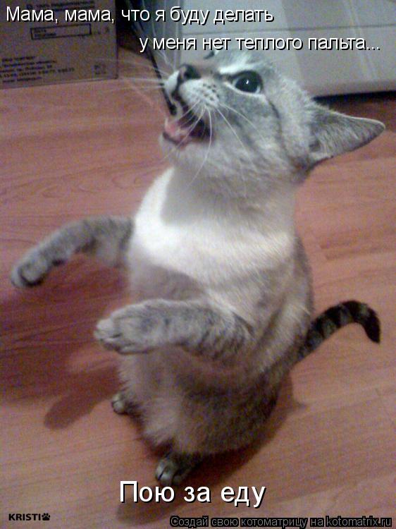 Котоматрица: Мама, мама, что я буду делать у меня нет теплого пальта... Пою за еду