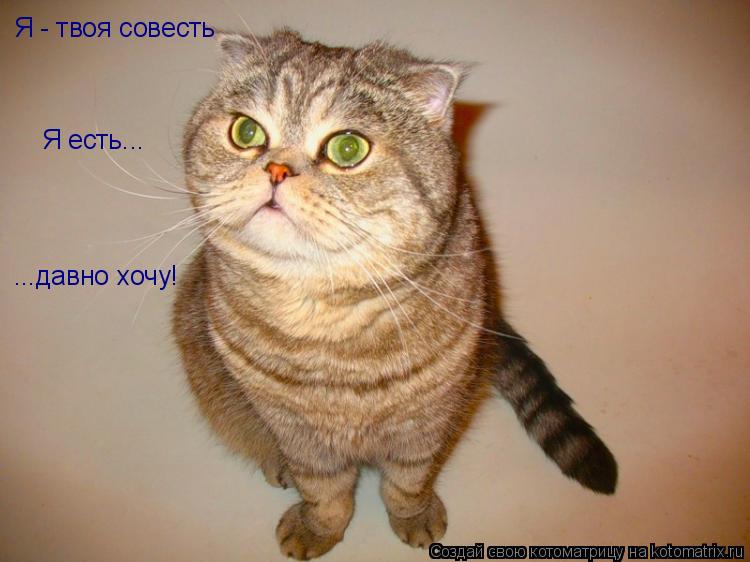 Котоматрица: Я - твоя совесть Я есть... ...давно хочу!