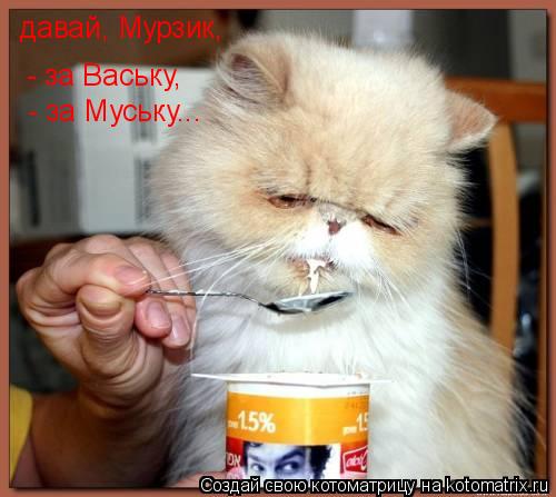 давай, Мурзик, - за Ваську, - за Муську...... Котоматрица: давай, Мурзик, - за Ваську, - за Муську...