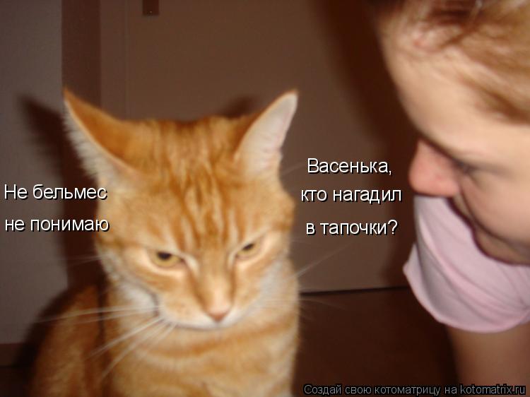 Котоматрица: Васенька, кто нагадил в тапочки? Не бельмес не понимаю