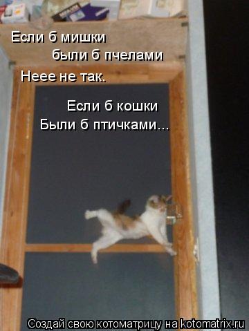 Котоматрица: Если б мишки были б пчелами Неее не так. Если б кошки Были б птичками...