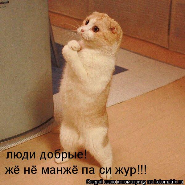 жё нё манжё па си жур!!! люди добрые!... Котоматрица: жё нё манжё па си жур!!! люди добрые!