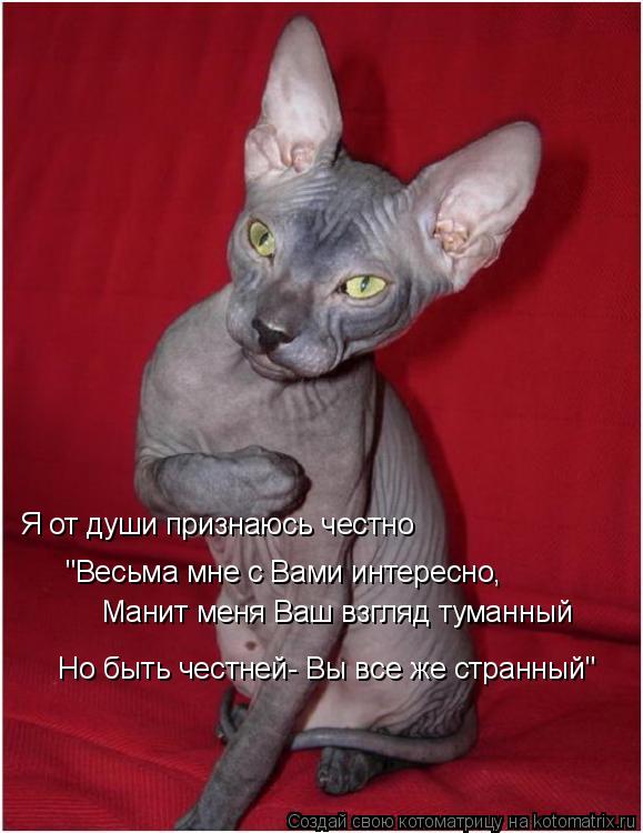 Я от души признаюсь честно "Весьма мне с Вами интересно, Манит меня Ваш взгляд туманный Но быть честн... Котоматрица: Я от души признаюсь честно "Весьма мне с Вами интересно, Манит меня Ваш взгляд туманный Но быть честней- Вы все же странный"