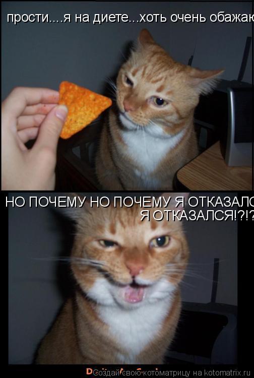 прости....я на диете...хоть очень обажаю чипсы... НО ПОЧЕМУ НО ПОЧЕМУ Я ОТКАЗАЛСЯ!?!?!?!?? НО ПОЧЕМУ ... Котоматрица: прости....я на диете...хоть очень обажаю чипсы... НО ПОЧЕМУ НО ПОЧЕМУ Я ОТКАЗАЛСЯ!?!?!?!?? НО ПОЧЕМУ НО ПОЧЕМУ Я ОТКАЗАЛСЯ!?!?!?!?? Я ОТКАЗАЛСЯ!?!?!?