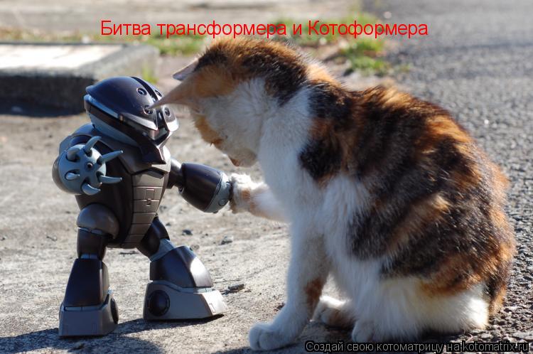 Битва трансформера и Котоформера... Котоматрица: Битва трансформера и Котоформера