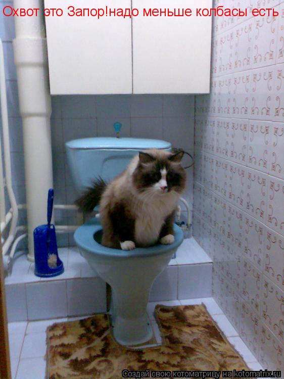 Охвот это Запор!надо меньше колбасы есть... Котоматрица: Охвот это Запор!надо меньше колбасы есть