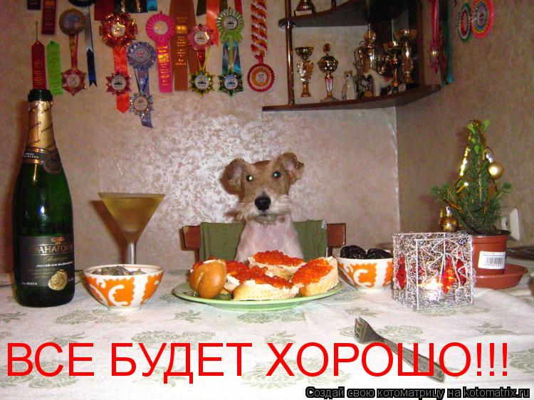 ВСЕ БУДЕТ ХОРОШО!!!... Котоматрица: ВСЕ БУДЕТ ХОРОШО!!!