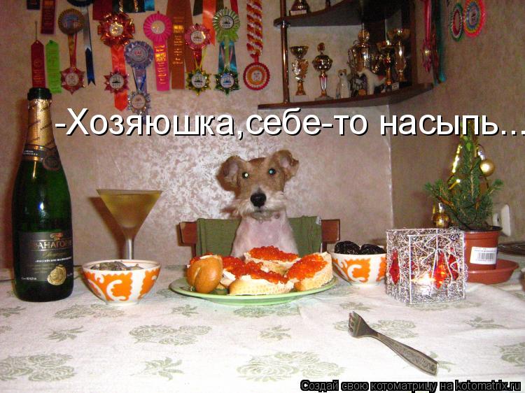 -Хозяюшка,себе-то насыпь........ Котоматрица: -Хозяюшка,себе-то насыпь.....