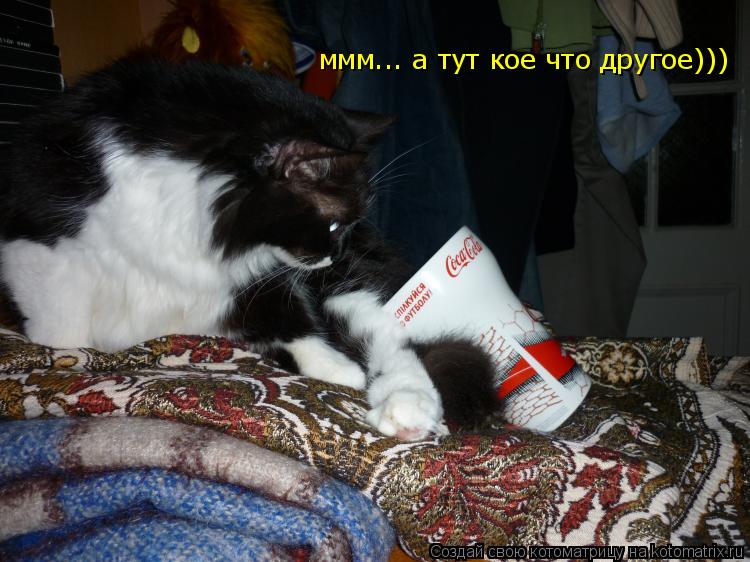 ммм... а тут кое что другое)))... Котоматрица: ммм... а тут кое что другое)))