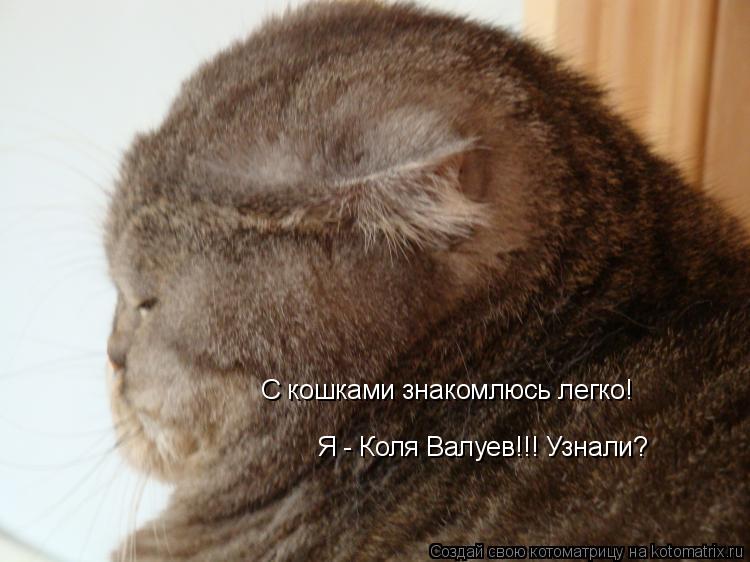 С кошками знакомлюсь легко! Я - Коля Валуев!!! Узнали?... Котоматрица: С кошками знакомлюсь легко! Я - Коля Валуев!!! Узнали?