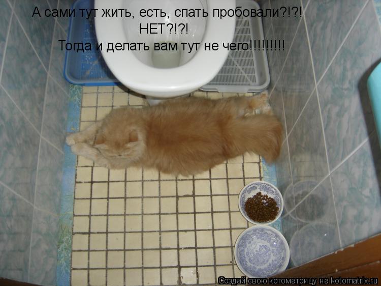 А сами тут жить, есть, спать пробовали?!?! НЕТ?!?! Тогда и делать вам тут не чего!!!!!!!!!... Котоматрица: А сами тут жить, есть, спать пробовали?!?! НЕТ?!?! Тогда и делать вам тут не чего!!!!!!!!!