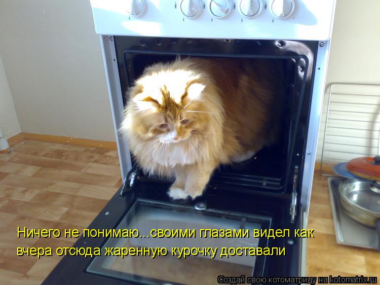 Ничего не понимаю...своими глазами видел как вчера отсюда жаренную курочку доставали... Котоматрица: Ничего не понимаю...своими глазами видел как вчера отсюда жаренную курочку доставали