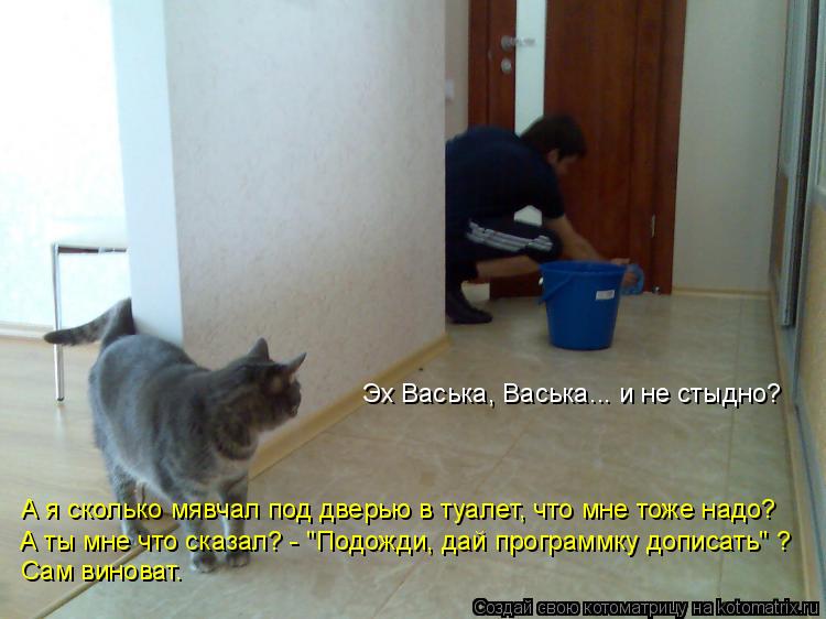 Котоматрица: Сам виноват. А я сколько мявчал под дверью в туалет, что мне тоже надо? А ты мне что сказал? - "Подожди, дай программку дописать" ? Эх Васька, Вас