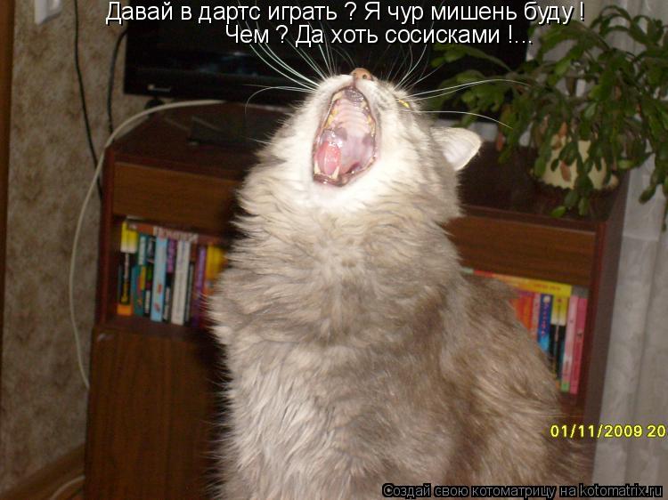 Давай в дартс играть ? Я чур мишень буду ! Чем ? Да хоть сосисками !...... Котоматрица: Давай в дартс играть ? Я чур мишень буду ! Чем ? Да хоть сосисками !...