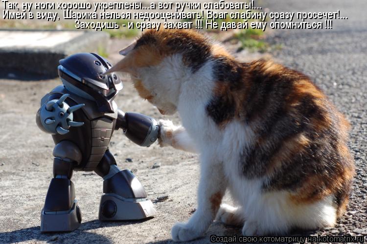 Имей в виду, Шарика нельзя недооценивать! Враг слабину сразу просечет!... Так, ну ноги хорошо укрепл... Котоматрица: Имей в виду, Шарика нельзя недооценивать! Враг слабину сразу просечет!... Так, ну ноги хорошо укреплены...а вот ручки слабоваты!... Заходишь - и