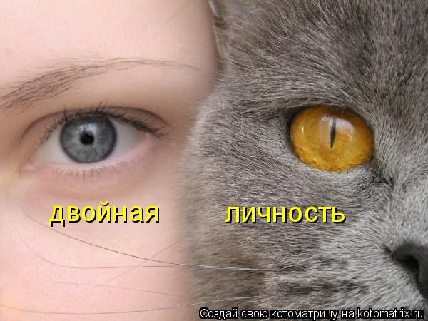двойная личность... Котоматрица: двойная личность