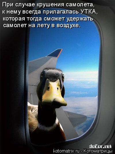 При случае крушения самолета, к нему всегда прилагалась УТКА, которая тогда сможет удержать самолет н... Котоматрица: При случае крушения самолета, к нему всегда прилагалась УТКА, которая тогда сможет удержать самолет на лету в воздухе.