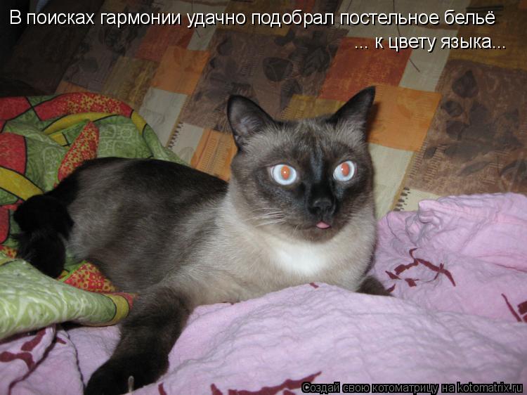 В поисках гармонии удачно подобрал постельное бельё ... к цвету языка...... Котоматрица: В поисках гармонии удачно подобрал постельное бельё ... к цвету языка...