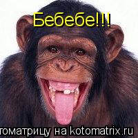 Бебебе!!!... Котоматрица: Бебебе!!!