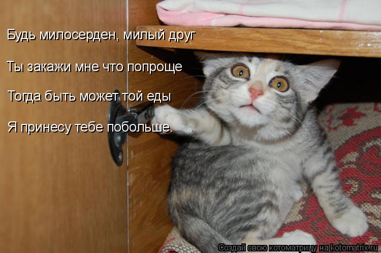 Будь милосерден, милый друг Ты закажи мне что попроще Тогда быть может той еды Я принесу тебе побольш... Котоматрица: Будь милосерден, милый друг Ты закажи мне что попроще Тогда быть может той еды Я принесу тебе побольше.