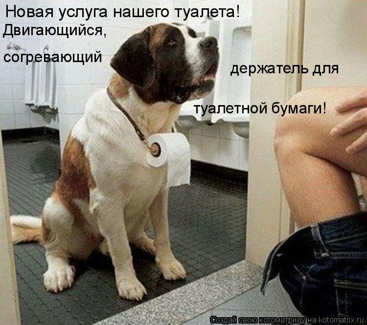 Новая услуга нашего туалета! держатель для согревающий Двигающийся, туалетной бумаги!... Котоматрица: Новая услуга нашего туалета! держатель для согревающий Двигающийся, туалетной бумаги!