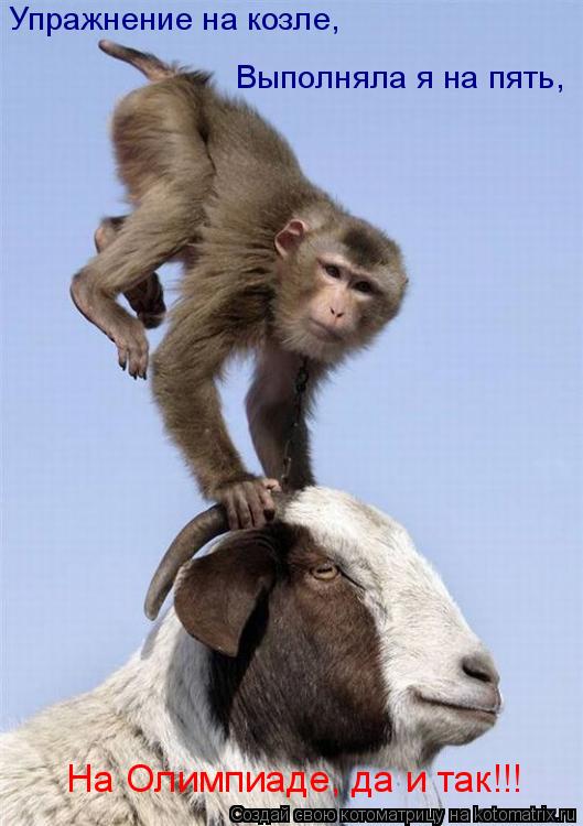 Упражнение на козле, Выполняла я на пять, На Олимпиаде, да и так!!!... Котоматрица: Упражнение на козле, Выполняла я на пять, На Олимпиаде, да и так!!!