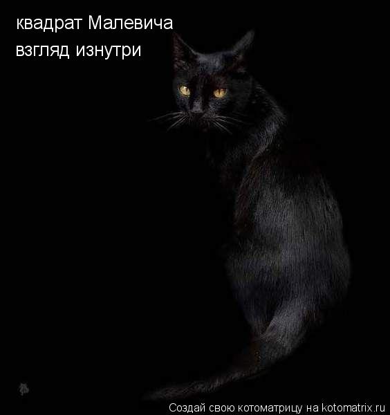 квадрат Малевича взгляд изнутри... Котоматрица: квадрат Малевича взгляд изнутри