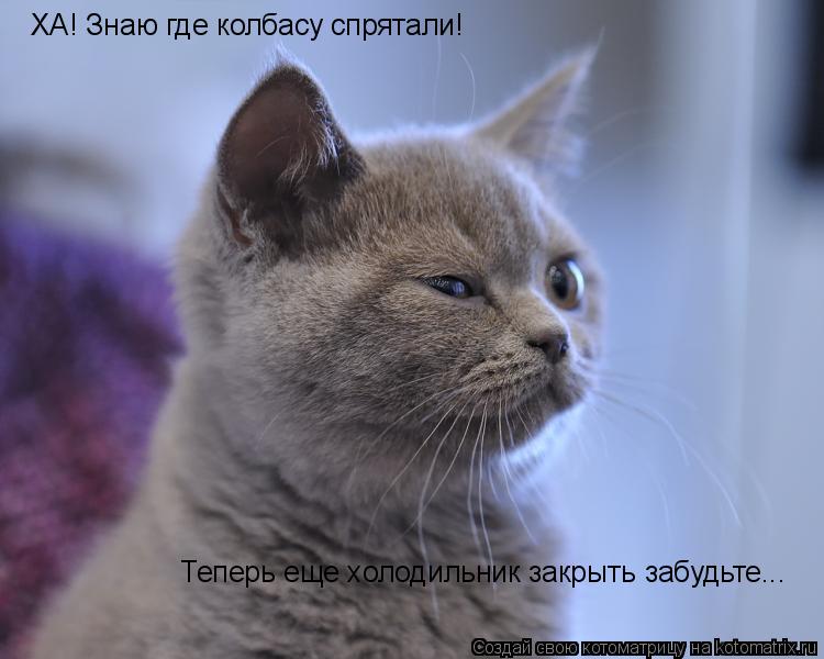 ХА! Знаю где колбасу спрятали! Теперь еще холодильник закрыть забудьте...... Котоматрица: ХА! Знаю где колбасу спрятали! Теперь еще холодильник закрыть забудьте...