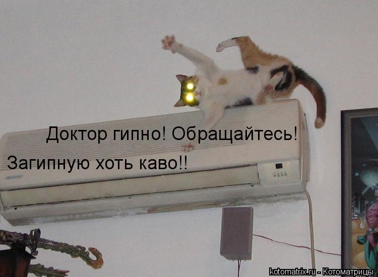 Доктор гипно! Обращайтесь! Загипную хоть каво!!... Котоматрица: Доктор гипно! Обращайтесь! Загипную хоть каво!!