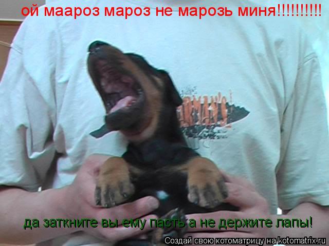 ой маароз мароз не марозь миня!!!!!!!!!! да заткните вы ему пасть а не держите лапы!... Котоматрица: ой маароз мароз не марозь миня!!!!!!!!!! да заткните вы ему пасть а не держите лапы!