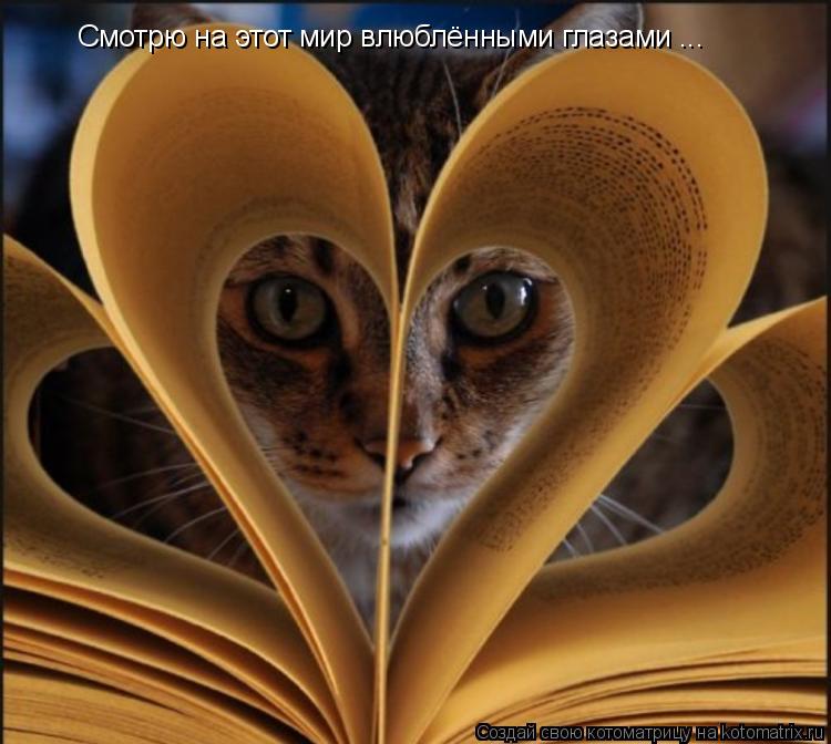 Смотрю на этот мир влюблёнными глазами ...... Котоматрица: Смотрю на этот мир влюблёнными глазами ...