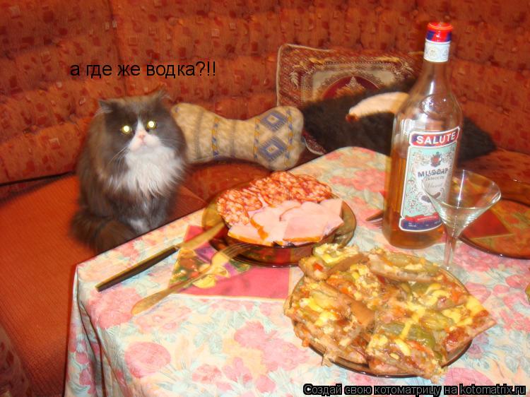 а где же водка?!!... Котоматрица: а где же водка?!!