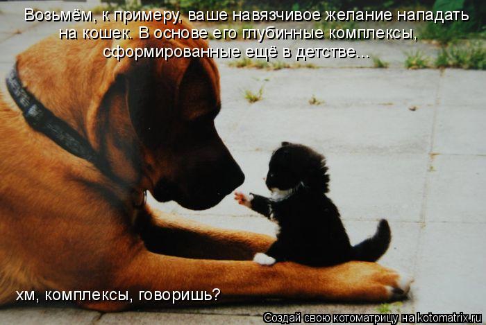 Возьмём, к примеру, ваше навязчивое желание нападать на кошек. В основе его глубинные комплексы, сфор... Котоматрица: Возьмём, к примеру, ваше навязчивое желание нападать на кошек. В основе его глубинные комплексы, сформированные ещё в детстве... хм, комплекс