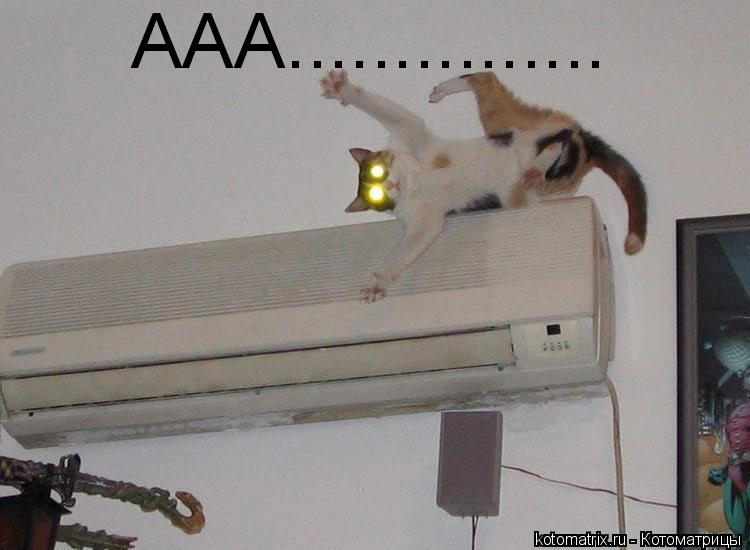 ААА.................. Котоматрица: ААА...............