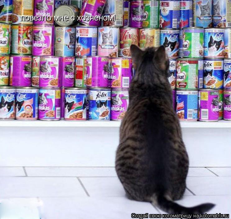 повезло мне с хозяеном!... Котоматрица: повезло мне с хозяеном!