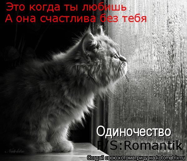 Одиночество P/S:Romantik Это когда ты любишь А она счастлива без тебя... Котоматрица: Одиночество P/S:Romantik Это когда ты любишь А она счастлива без тебя