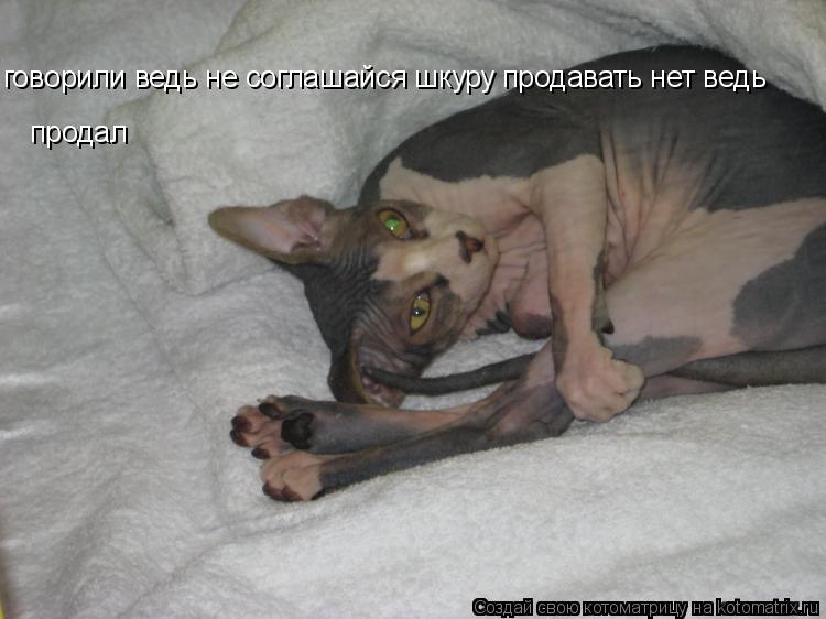 говорили ведь не соглашайся шкуру продавать нет ведь продал... Котоматрица: говорили ведь не соглашайся шкуру продавать нет ведь продал