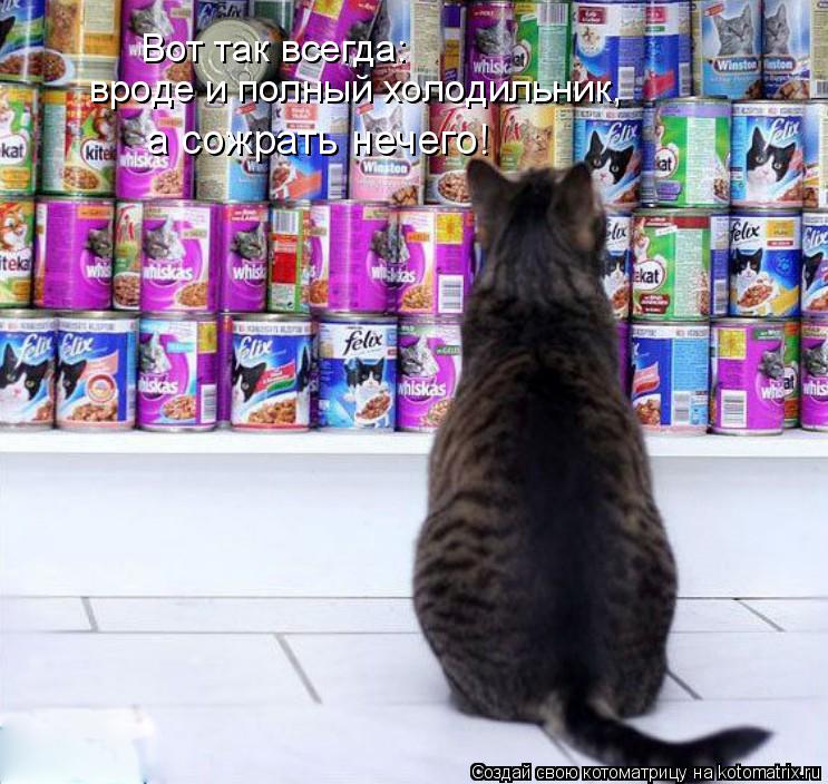 Вот так всегда: вроде и полный холодильник, а сожрать нечего!... Котоматрица: Вот так всегда: вроде и полный холодильник, а сожрать нечего!