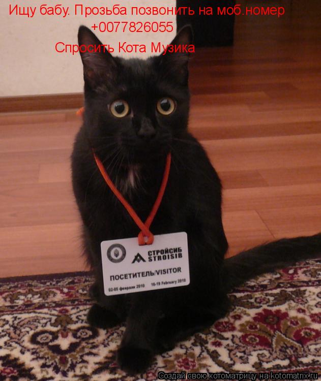 Ищу бабу. Прозьба позвонить на моб.номер +0077826055 Спросить Кота Музика... Котоматрица: Ищу бабу. Прозьба позвонить на моб.номер +0077826055 Спросить Кота Музика