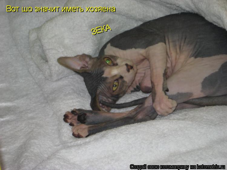 Вот шо значит иметь хозяена ЗЕКА... Котоматрица: Вот шо значит иметь хозяена ЗЕКА