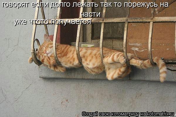 говорят если долго лежать так то порежусь на части уже чтото получается... Котоматрица: говорят если долго лежать так то порежусь на части уже чтото получается