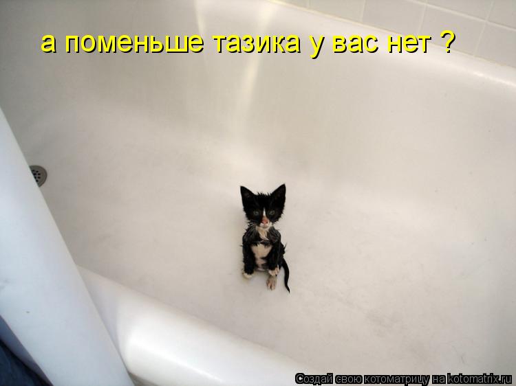 Котоматрица: а поменьше тазика у вас нет ?