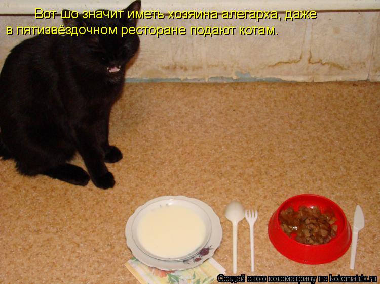 Вот шо значит иметь хозяина алегарха, даже в пятизвёздочном ресторане подают котам.... Котоматрица: Вот шо значит иметь хозяина алегарха, даже в пятизвёздочном ресторане подают котам.