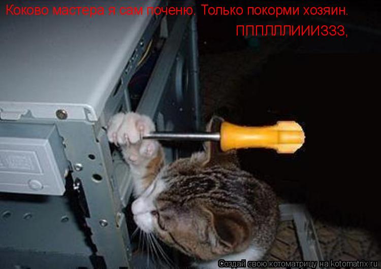 Коково мастера я сам поченю. Только покорми хозяин. ПППЛЛЛИИИЗЗЗ,... Котоматрица: Коково мастера я сам поченю. Только покорми хозяин. ПППЛЛЛИИИЗЗЗ,