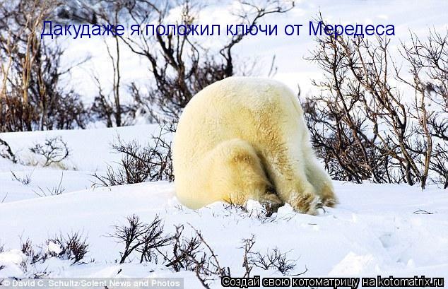 Дакудаже я положил ключи от Мередеса... Котоматрица: Дакудаже я положил ключи от Мередеса