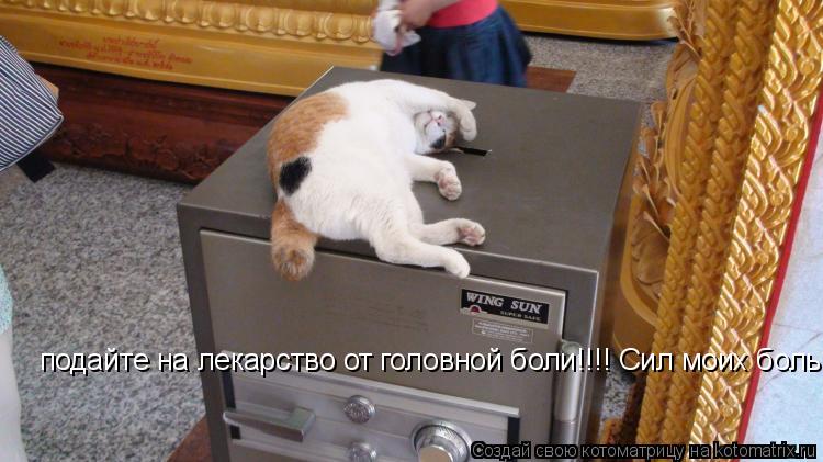подайте на лекарство от головной боли!!!! Сил моих больше нет...... Котоматрица: подайте на лекарство от головной боли!!!! Сил моих больше нет...