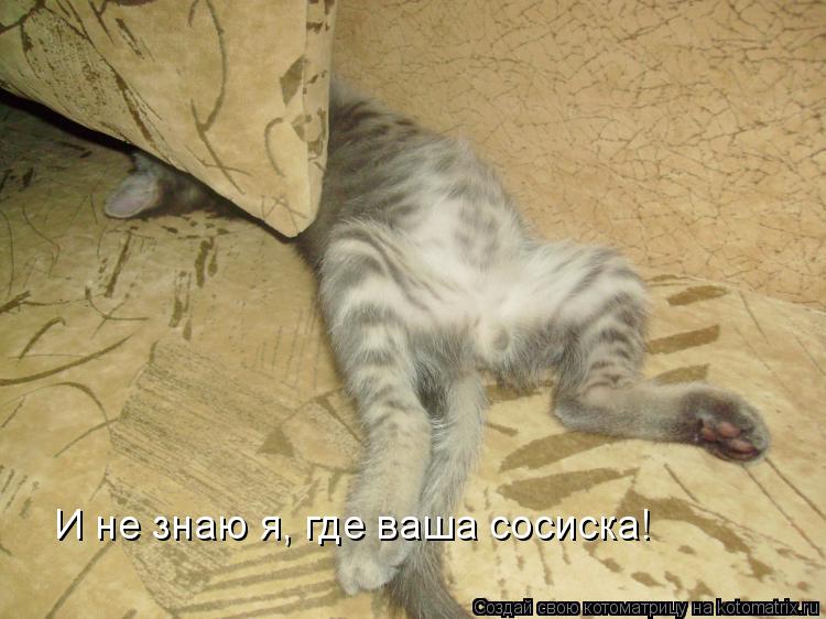 И не знаю я, где ваша сосиска!... Котоматрица: И не знаю я, где ваша сосиска!